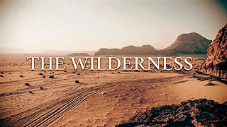 The Wilderness • (11/6/22)