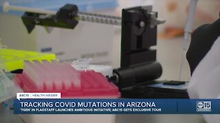 TGen: Arizona could become world leader in COVID-19 mutation tracking