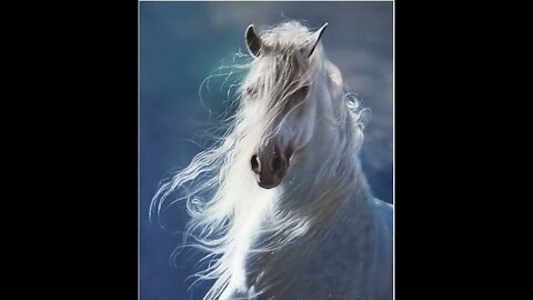Diamond-White Horse In Heaven Dream & Testimony by End-time Larry-Pre-Tribulation Rapture Is Soon!!!