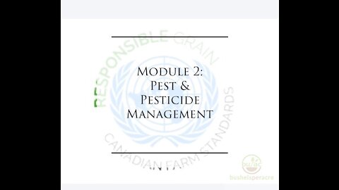 Module 2 Readout: Pest and Pesticide Management from Responsible Grain