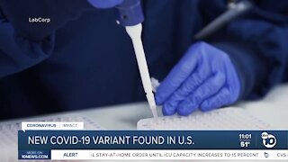 New COVID-19 variant found in U.S.