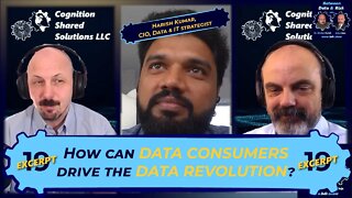 E019 (excerpt): Building data strategies, with Harish Kumar