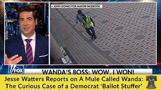 Jesse Watters Reports on A Mule Called Wanda: The Curious Case of a Democrat 'Ballot Stuffer'