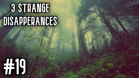 3 Very Strange Disappearances In National Parks | Part 19