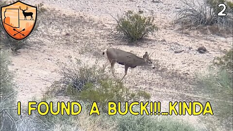 A DESERT MULE DEER HUNT |BUCK FOUND!|