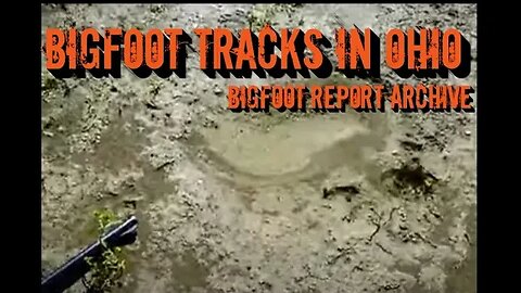 Bigfoot Tracks in Ohio | Bigfoot Report Archive