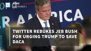Twitter Rebukes Jeb Bush For Urging Trump To Save DACA