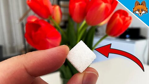 Put THIS in your Flowers and WATCH WHAT HAPPENS 💥 (Ingenious TRICK) 🤯