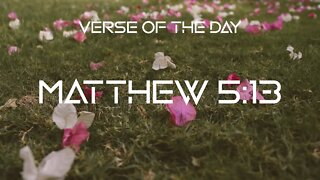 November 25, 2022 - Matthew 5:13 // Verse of the Day