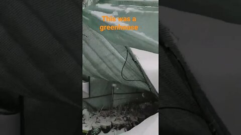 greenhouse crushed #greenhouse #garden #snow