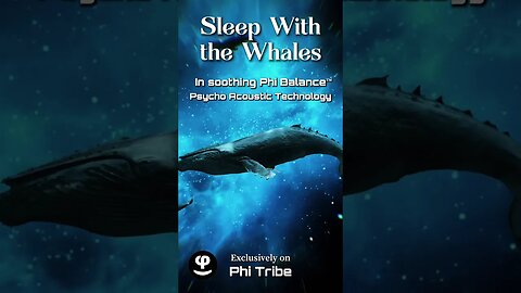 Sleep with the Whales | Phi Balance| #shorts