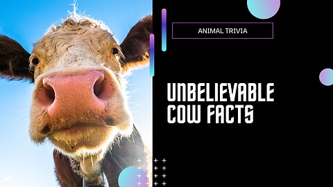 Unbelievable Cow Facts: Discovering Bovine Secrets!