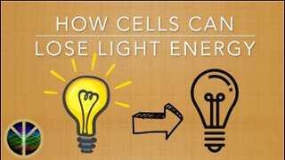 How Red Blood Cells Can Lose Their Light Energy & Then Their Life!
