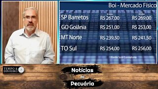 Boi gordo ainda não teve reação de preços com oferta mais curta