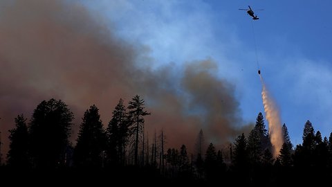 Finland Doesn't Have Many Forest Fires — But That's Due To Its Climate