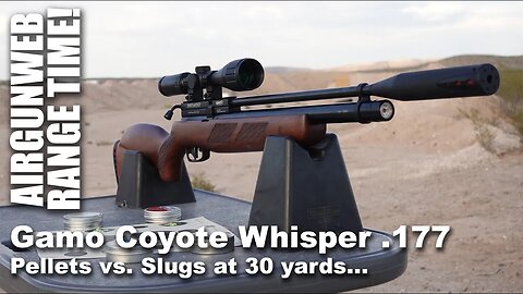 Gamo Coyote Whisper .177 Caliber - JSB pellets vs. JSB Knockout Slugs, which shot better at 30Y?