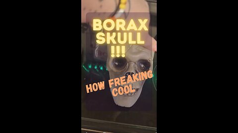 BORAX SKULL!!! How freaking cool.