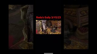 Reda’s Daily 3/15/23