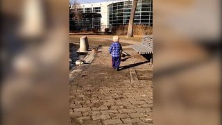 Cutest Duck Crossing Guard