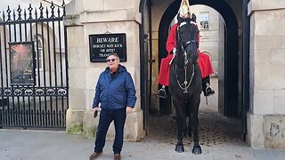 The Horse doesn't like both of you #thekingsguard