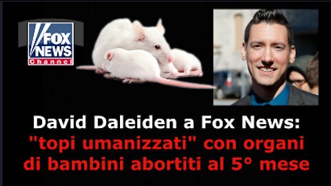 "topi umanizzati" con organi di bambini abortiti al 5° mese