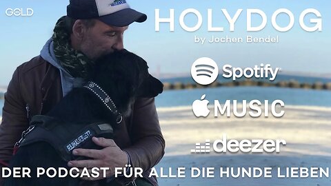 Holydog Pflegestelle für Auslandshunde der erste Schritt in eine neue Welt! Folge 16