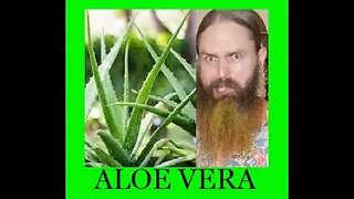 Aloe Vera - 8 Awesome Health Benefits !