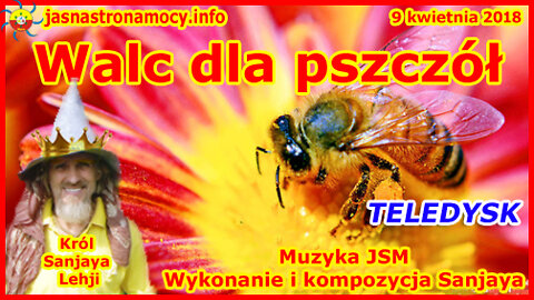 Walc dla pszczół Muzyka JSM Kompozycja i wykonanie Sanjaya TELEDYSK