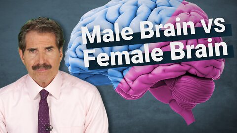 The Science: Male Brain vs Female Brain