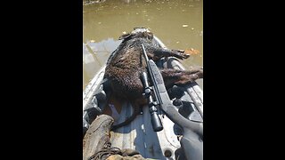 Kayak hog hunting