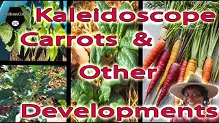 Kaleidoscope Carrots and other Developments