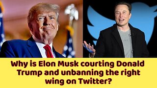 Why is Elon Musk courting Donald Trump and unbanning the right wing on Twitter?