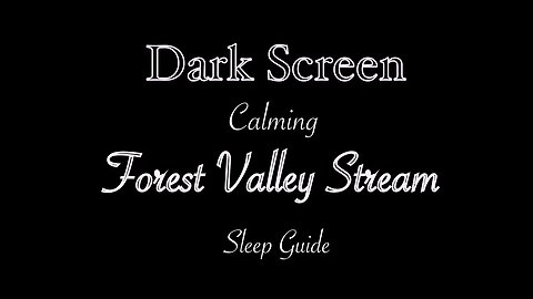 Soothing Forest Valley Stream