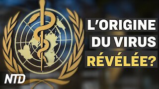 Correspondant de la BBC fuit la Chine; USA: plus de 1M de migrants attendus; L’origine du virus?