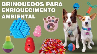 Os melhores brinquedos para acalmar o seu cachorro