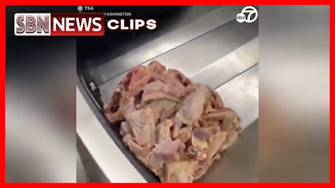 TSA Joked, Showing a Pile of Raw Chicken That Found Its Way Onto the Baggage Carousel - 3336
