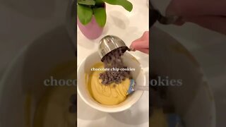 Chocolate Cookies TikTok rayannesbakes