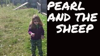 Pearl And The Sheep