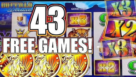 EPIC JACKPOT! 🪙 Buffalo Gold Goes Wild with 43 Free Games!