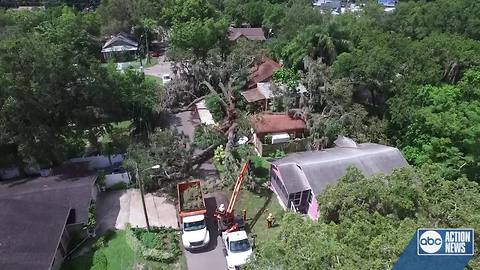 Massive tree falls on home after July 4 storms