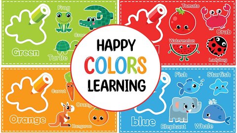 Fun Colors Learning With Little Bird