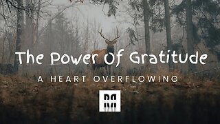 The Power Of Gratitude: A Heart Overflowing