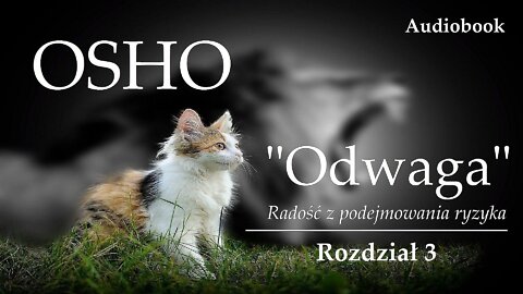 OSHO "Odwaga" | Rozdział 3