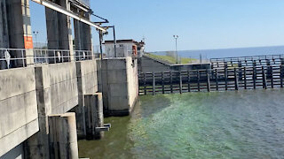 Health advisory issued for Port Mayaca Lock after blue-green algae detected