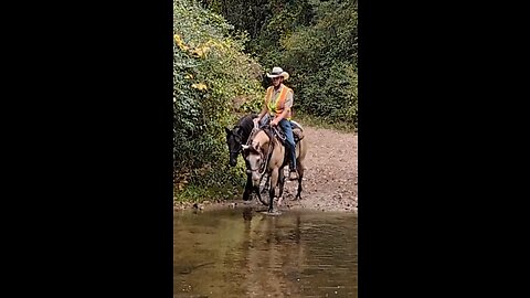 Gemma ponying Ashur across the Creek at Waterloo - 26 Sept 2023