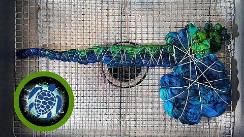 How to Tie Dye | Pattern #540 | Sea Turtle Wig-Wag Long Sleeve Tie Dye T-Shirt (Ice)