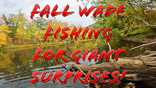 Fall Wade Fishing for GIANT Surprises!
