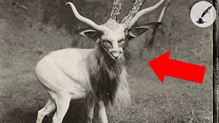 The Goatman of Demon Hill: A True & Monstrous Encounter in Rural England | Documentary