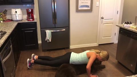 Huge Newfoundland makes it impossible to workout