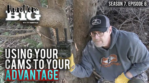 Tips for a Low-Impact Trail Camera Setup
